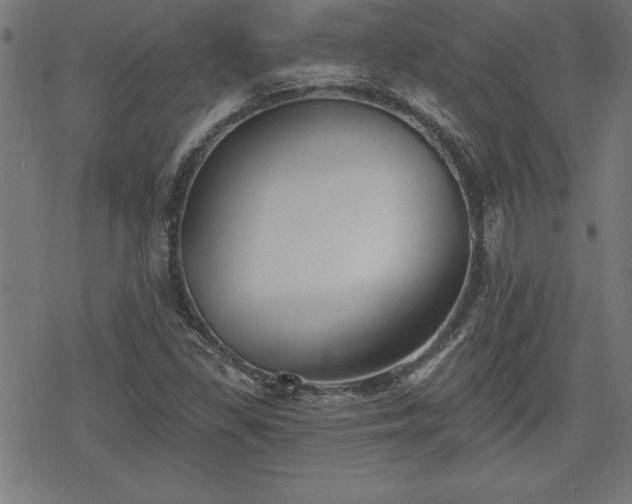 X0000078311309200611101218