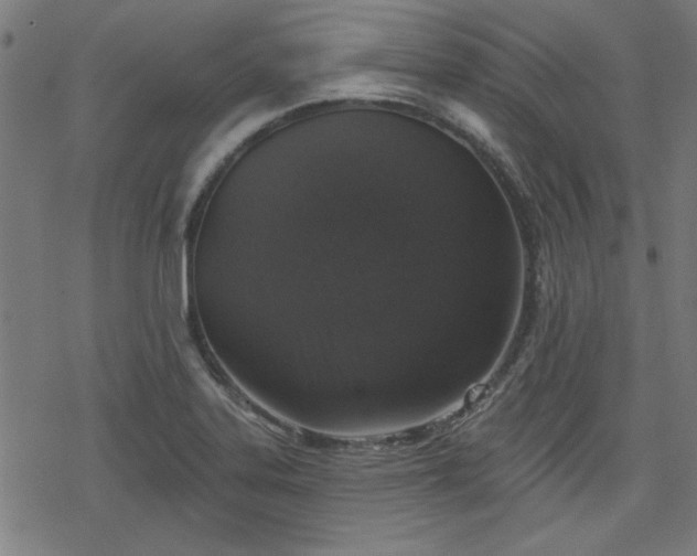 X0000078311323200611101218