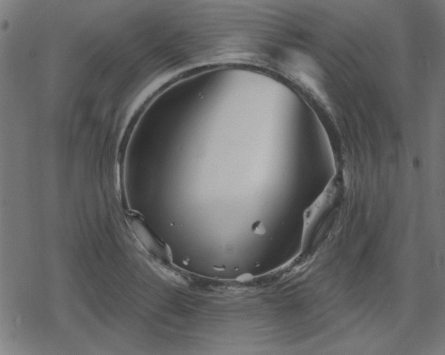 X0000078311324200611101218