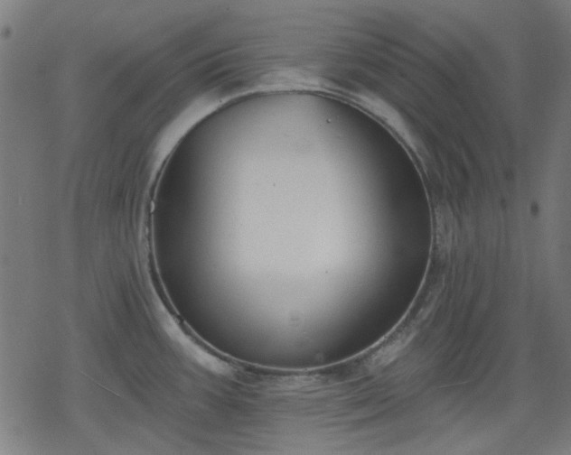 X0000078311387200611101217