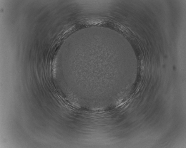 X0000078311394200611101216