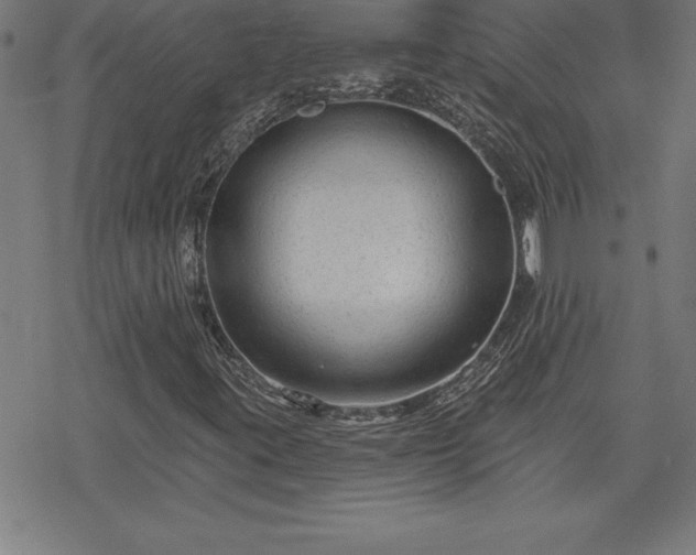 X0000078311395200611101216