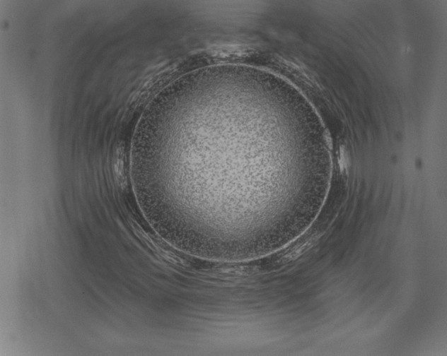 X0000078311396200611101216
