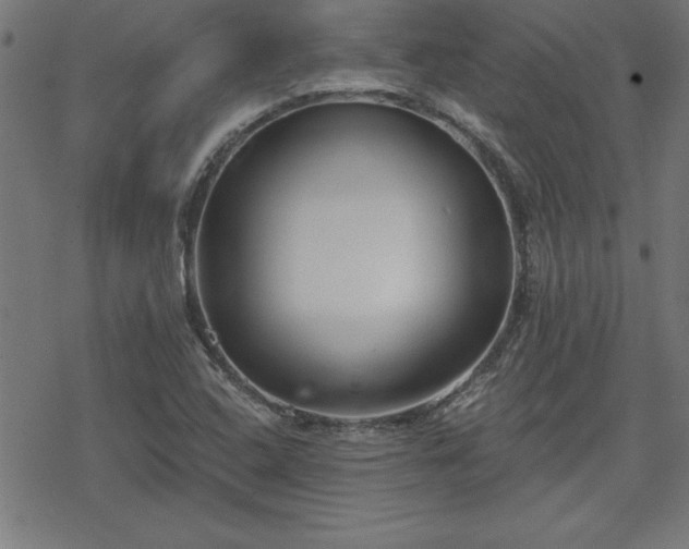 X0000078311408200611101216