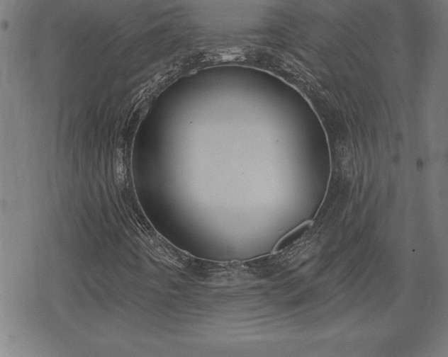 X0000078311442200611101216