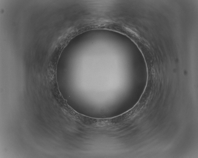 X0000078311447200611101216