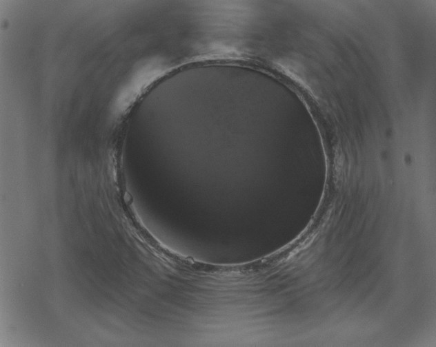 X0000078311455200611101216