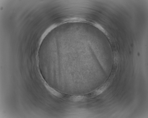 X0000078311474200611101215