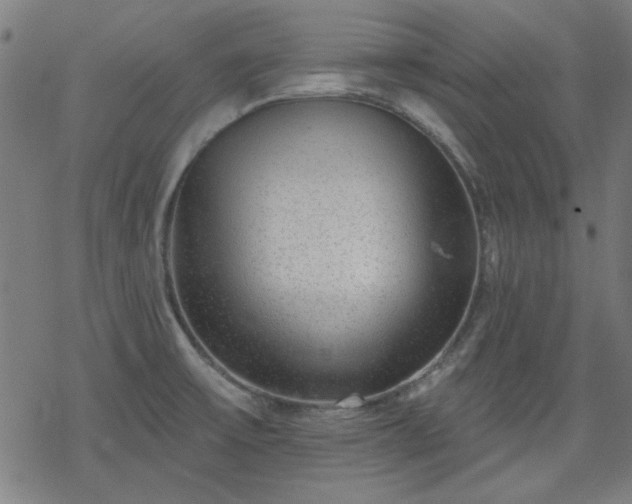 X0000078311475200611101215