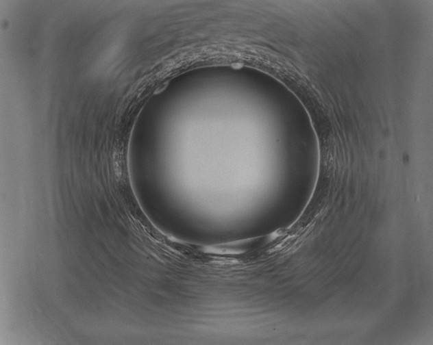 X0000078311490200611101214
