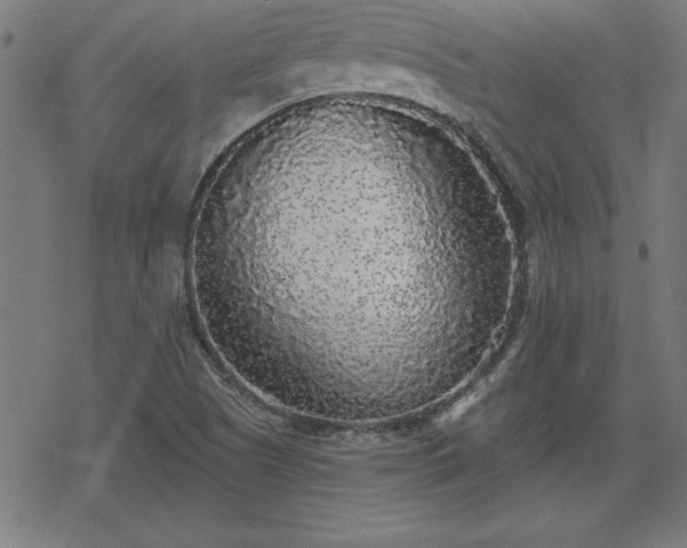 X0000078311505200611101214