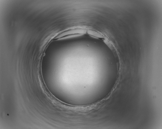 X0000078310001200611172227