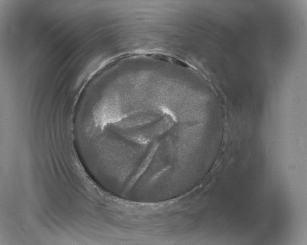 X0000078310002200611172227