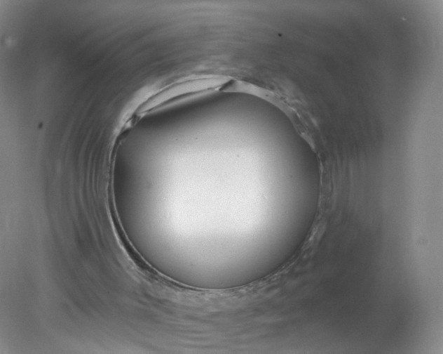 X0000078310003200611172227