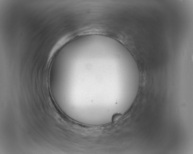 X0000078310004200611172227