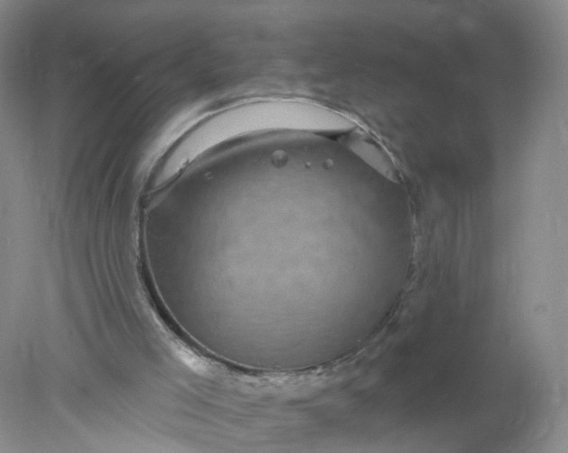 X0000078310005200611172227