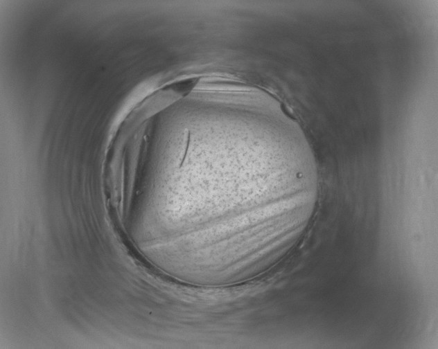 X0000078310006200611172227