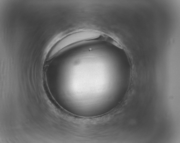 X0000078310007200611172227