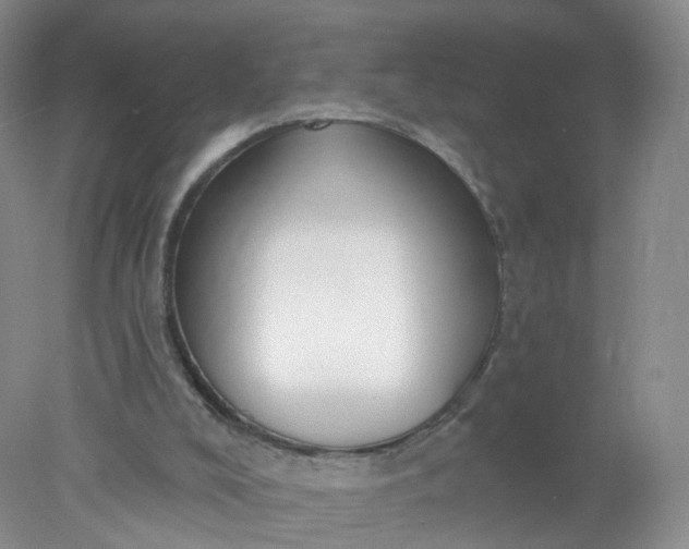 X0000078310008200611172227