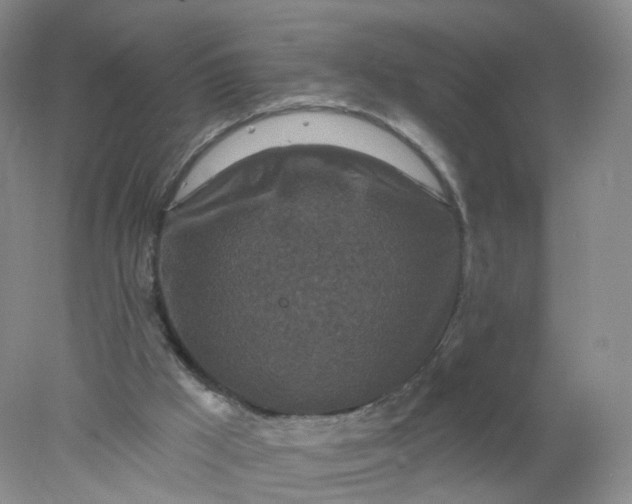 X0000078310009200611172227