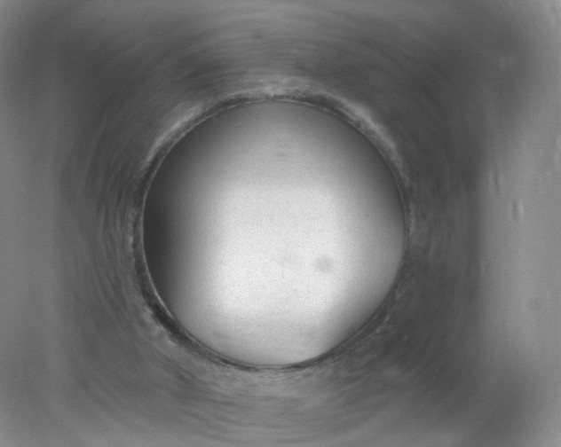 X0000078310010200611172227