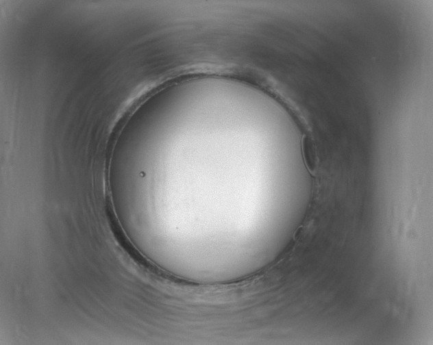 X0000078310011200611172227