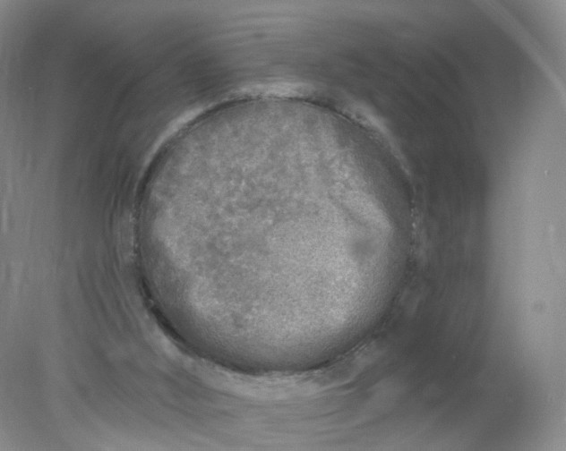 X0000078310012200611172226