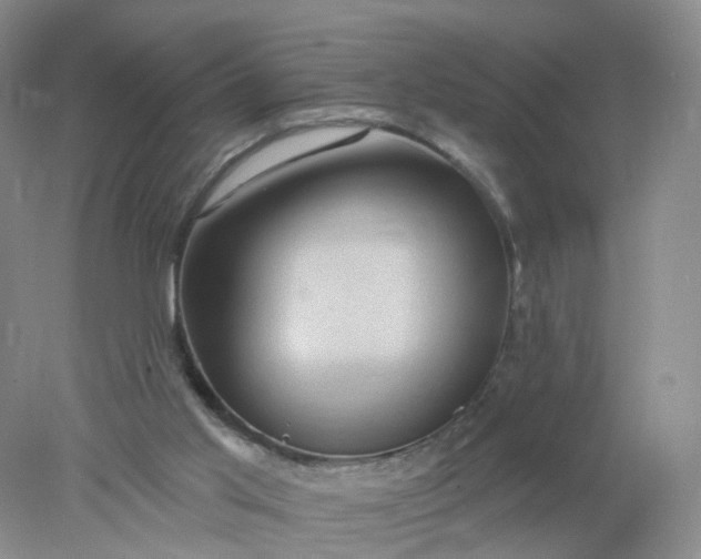 X0000078310013200611172226