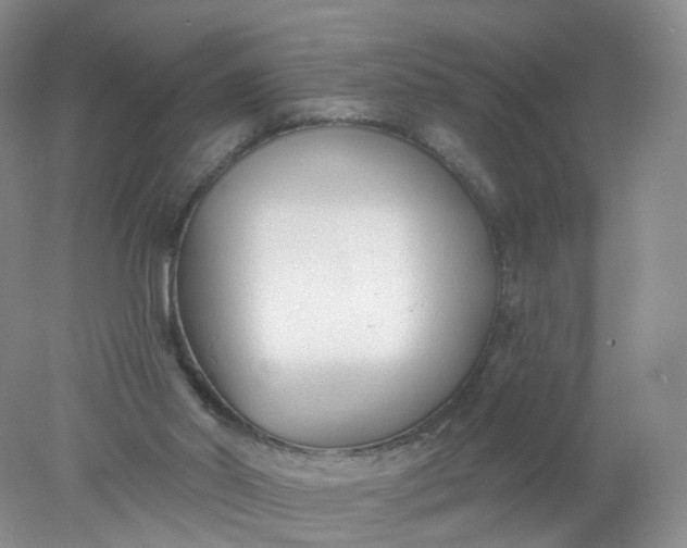 X0000078310014200611172226