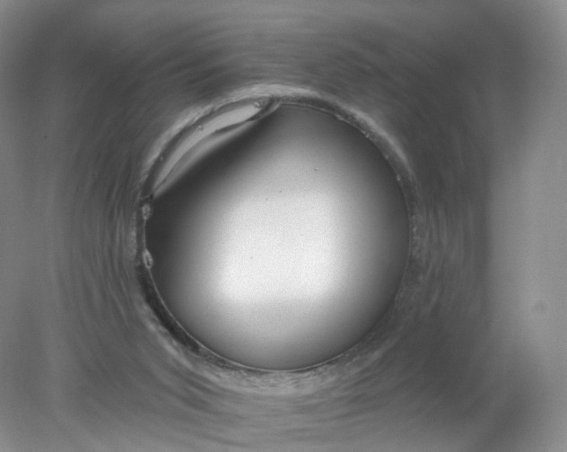 X0000078310015200611172226