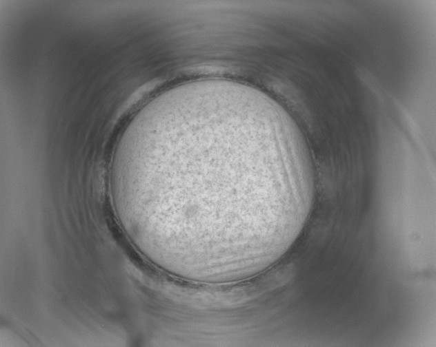 X0000078310016200611172226