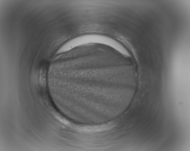 X0000078310017200611172226