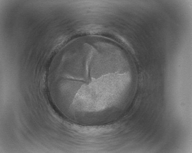 X0000078310018200611172226