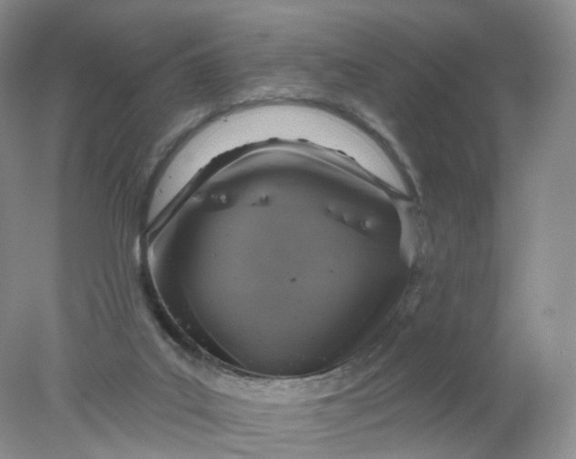 X0000078310019200611172226