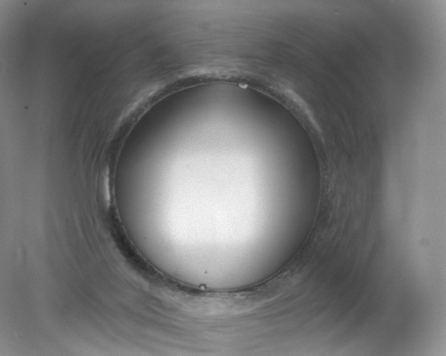 X0000078310020200611172226