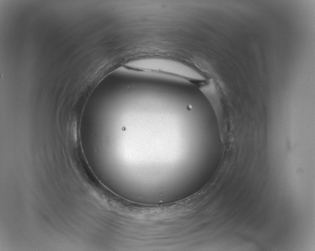 X0000078310021200611172226