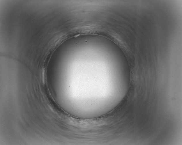 X0000078310022200611172226