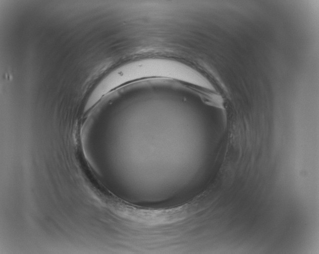 X0000078310023200611172226