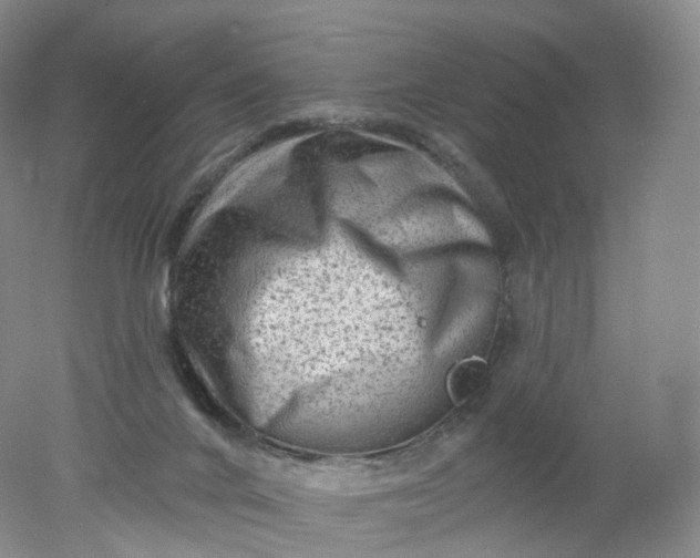 X0000078310024200611172226