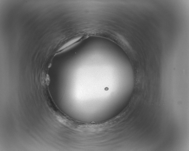 X0000078310025200611172226