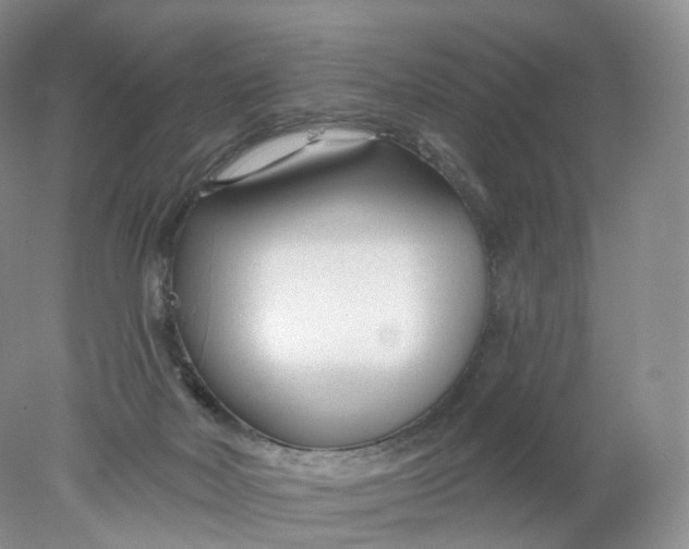 X0000078310026200611172226