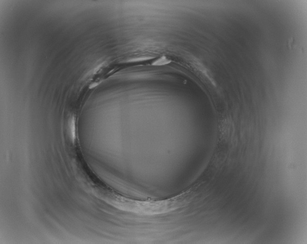 X0000078310027200611172226