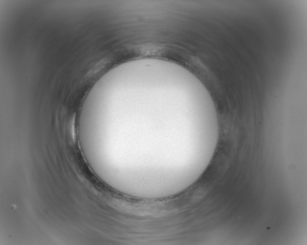 X0000078310028200611172226