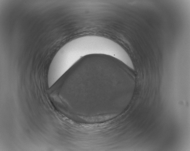 X0000078310029200611172226