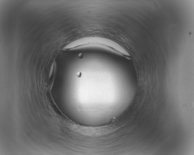 X0000078310030200611172226