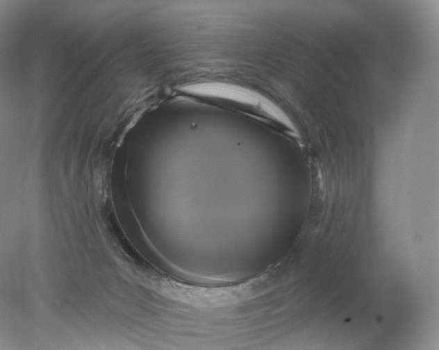 X0000078310031200611172226