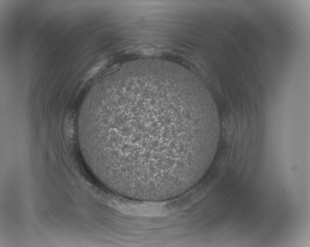 X0000078310032200611172226