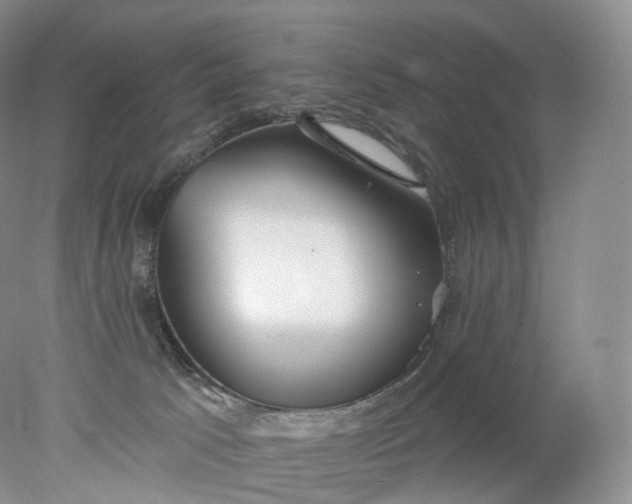 X0000078310033200611172226