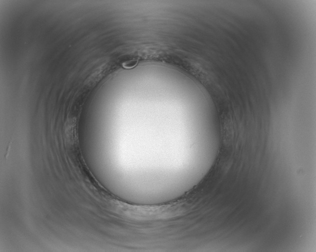 X0000078310034200611172226