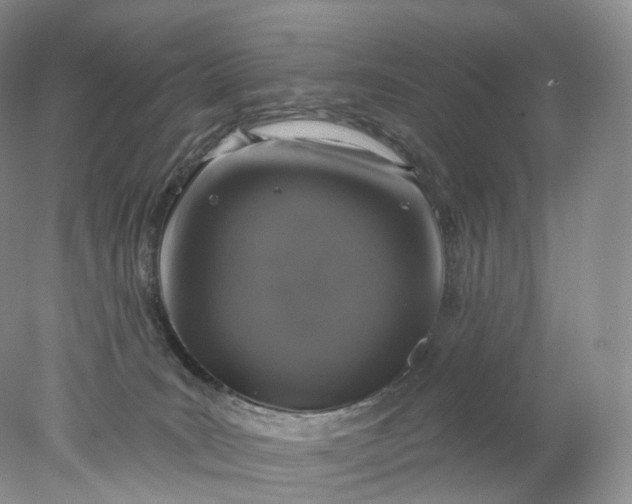 X0000078310035200611172226